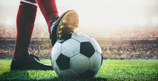 森領銜的進 森領銜的進