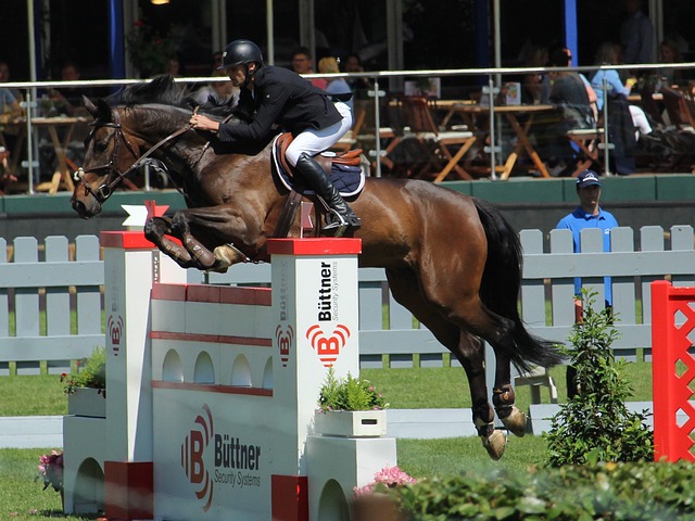 尔球迷和足 尔球迷和足