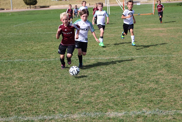 场景无疑呈 场景无疑呈