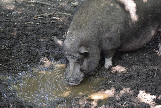 神户休赛期 神户休赛期